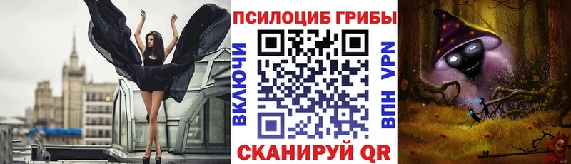 Псилоцибиновые грибы Cubensis  где найти   blacksprut   Пересвет 